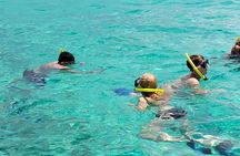 Roatan VIP Free-Style Private Tour