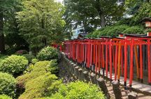 Yanaka and Nezu : Tokyo Old Traditional Town Cultural Experience