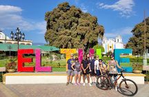 Biking to The Ancient Tule Tree