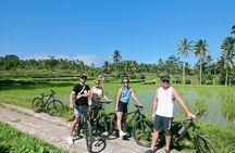 Bali Downhill Natural Cycling Tour & visit Volcano 
