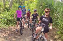Ubud Cultural and Educational Downhill Cycling Tour 