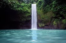 Amazing Ubud Half Day Private Tour All Inclusive