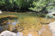 Sinharaja Rainforest Trip
