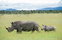 7 Days of Elephants, Rhinos & Big Five: The Best of Kenya Safari