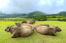 Full-day Tour in Yangmingshan & Beitou from Taipei (Small Group)