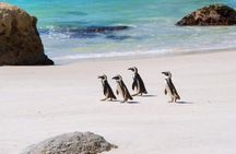 Cape town ,Experience the Six Wonders in 3 Days inclusive prvt