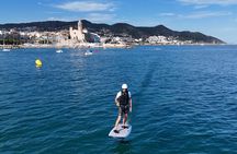 Sitges: 1 Hour E-Foil Private Experience