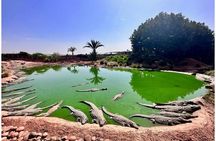Marrakech to Agadir Day Tour: Beaches, Culture, and Coastal Views