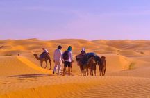 2 Days in the Desert on Camel Back