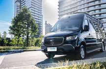 Istanbul Private Guided Tour for Cruise Layovers. Transfers incl.