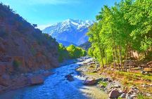 Atlas Mountains & 3 Valleys Waterfalls and Camel Ride Marrakech