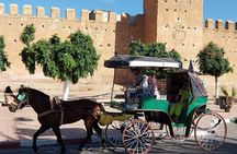 Taroudant & Tiout Day Trip Tour