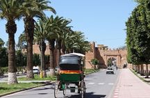 Taroudant & Tiout Day Trip Tour