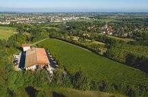 Parma Hills and Wine Tasting with Food Platter