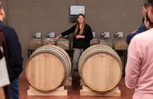 Parma Hills and Wine Tasting with Food Platter