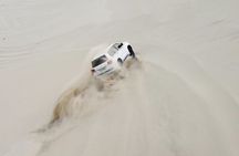 Private Full Day Desert Safari Dinner and Camel Ride in Doha