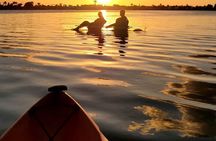 Clear Kayak Sunset Tour - Cocoa Beach