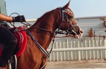 Private Horse and Camel Riding Experience in Doha