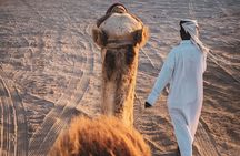 Private Horse and Camel Riding Experience in Doha