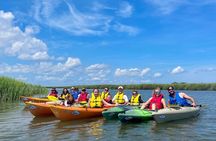 2 Hour Guided Kayak Tour at Palmetto Bluff 