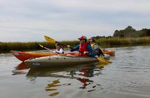 2 Hour Guided Kayak Tour at Palmetto Bluff 