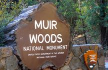 Big Bus San Francisco: Guided Muir Woods Tour
