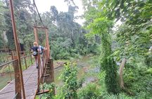 Sinharaja Rainforest Trip