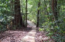 Sinharaja Rainforest Trip