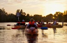 Florida Sunset and Bioluminescence Package