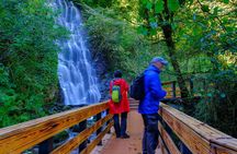 Full Day Tour From Batumi to Waterfalls