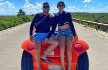 Explore Cozumel on a Buggy: Tour Around the Island!