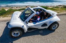 Explore Cozumel on a Buggy: Tour Around the Island!
