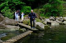 Hike Japan Heritage Hakone Hachiri with certified mountain guide 