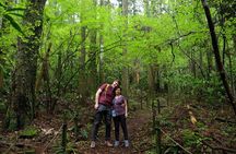 Hike Japan Heritage Hakone Hachiri (Half Day)