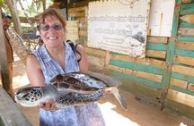 Sri Lanka: 10 Days private tour with Hotels (HB),Driver & Car 