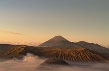 Mount Bromo Sunrise Private Trip