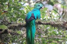 Monteverde Cloud Forest Tour