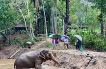 Phuket Elephant Nature Reserve Ethical Sanctuary 