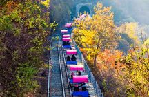 Nami, Rail Bike, The Alpaca Garden & Light Festival