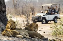 Game drive in Victoria Falls National Park