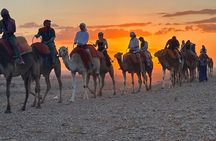 Agafay Desert Luxury, Quad, Camel, Pool, Dinner Show and Concert