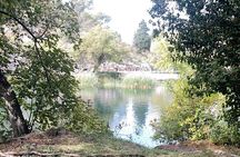 Full day Krka national park tour