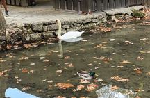 Full day Krka national park tour