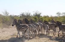 5-Day Explore Zimbabwe, Zambia and Botswana