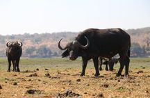 5-Day Visit Zimbabwe, Zambia, Botswana & Namibia Island