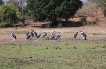 5 Day - Quadruple Package Zimbabwe, Zambia, Botswana & Namibia 