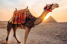 Guiding Half Day To Giza Pyramids with Hotel pickup 