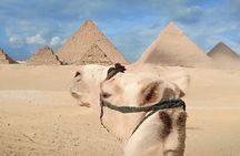 Guiding Half Day To Giza Pyramids with Hotel pickup 