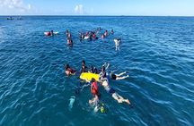 Waikiki Turtle Canyon Snorkeling Adventure