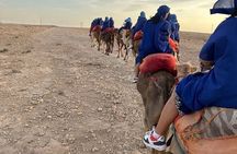 Agafay Desert Adventure: Morning Quad Ride, Camel Trek & Lunch
